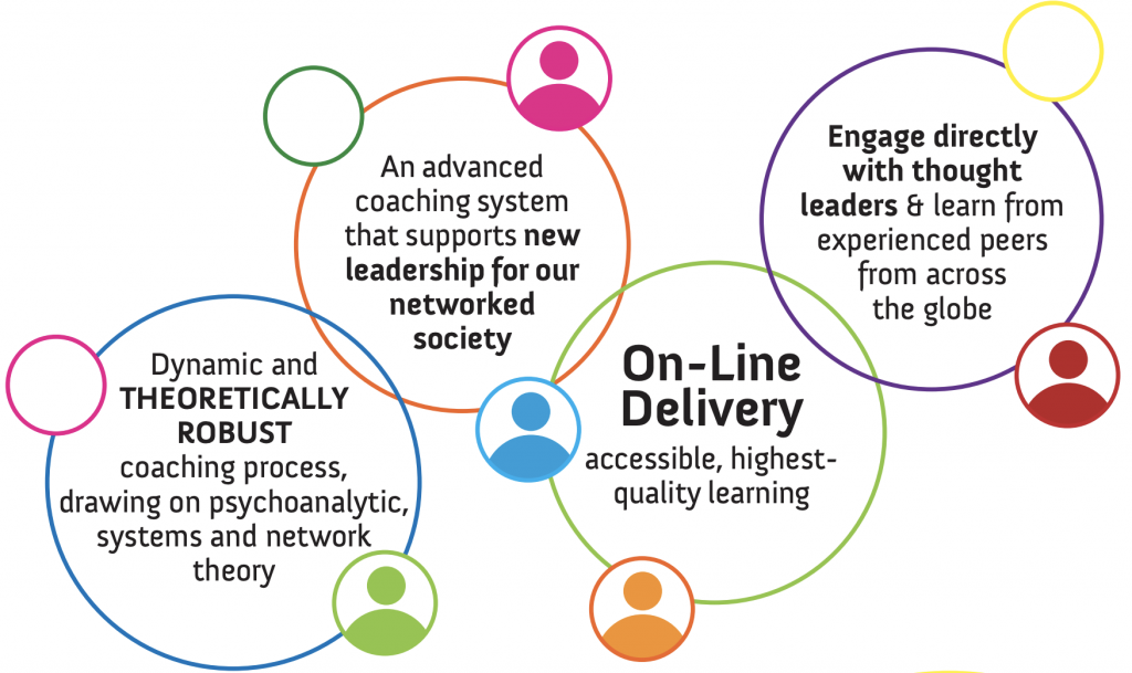 Analytic-Network Advanced Coach Training 2021