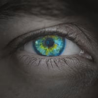 Intuitive Leadership Workshop