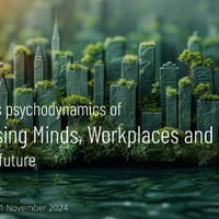The systems psychodynamics of Decolonising Minds, Workplaces and Curricula for