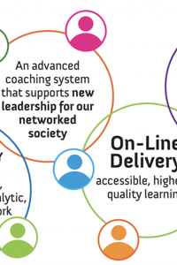 Analytic-Network Advanced Coach Training