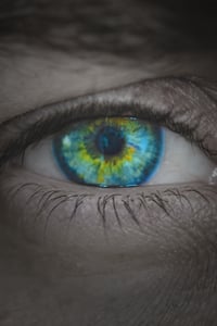Intuitive Leadership Workshop