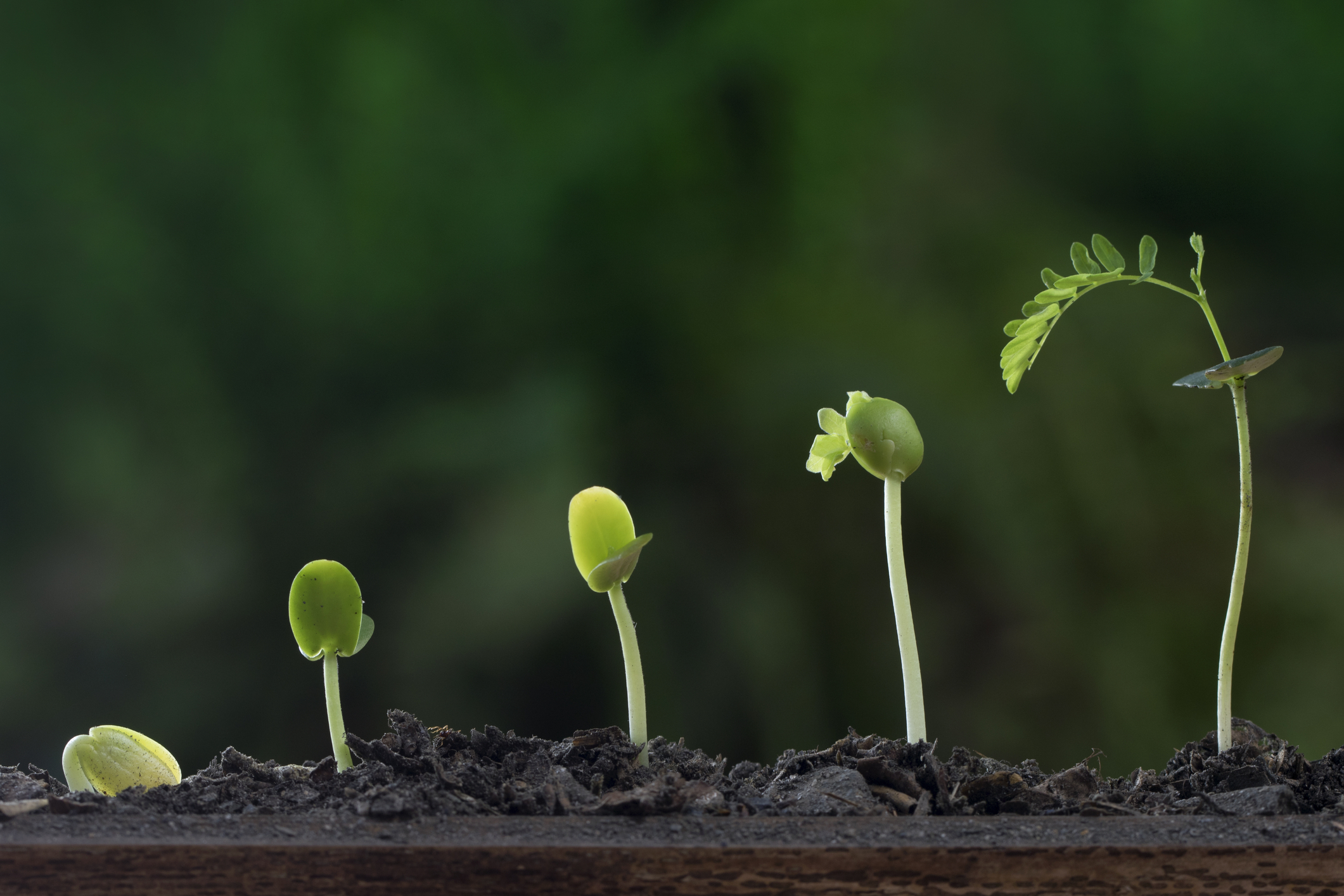 Leading from the Middle: Power, Reality, and the Courage to Work Together