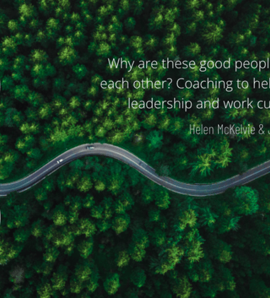 Why are these good people turning on each other? Coaching to help you tackle leadership and work culture issues.