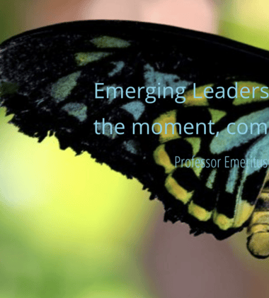 Emerging Leadership: Cometh the Moment, Cometh the Leader