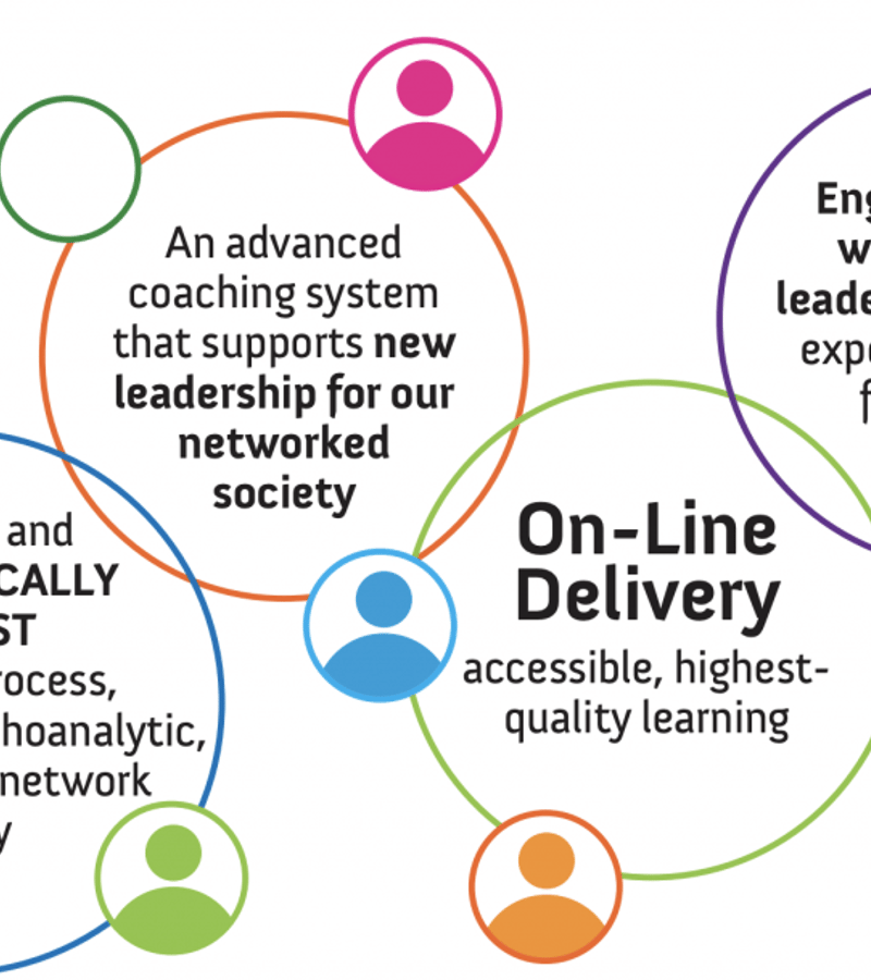 Analytic-Network Advanced Coach Training
