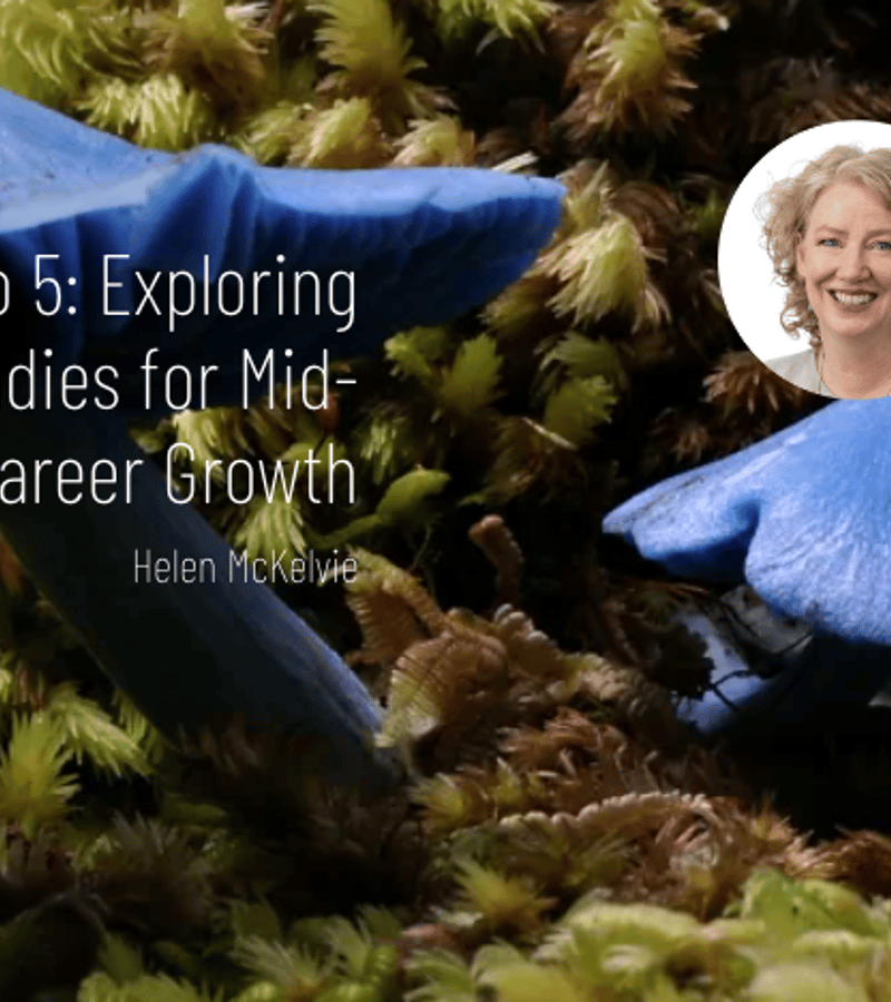 Beyond 9 to 5: Exploring Postgrad Studies for Mid-Career Growth