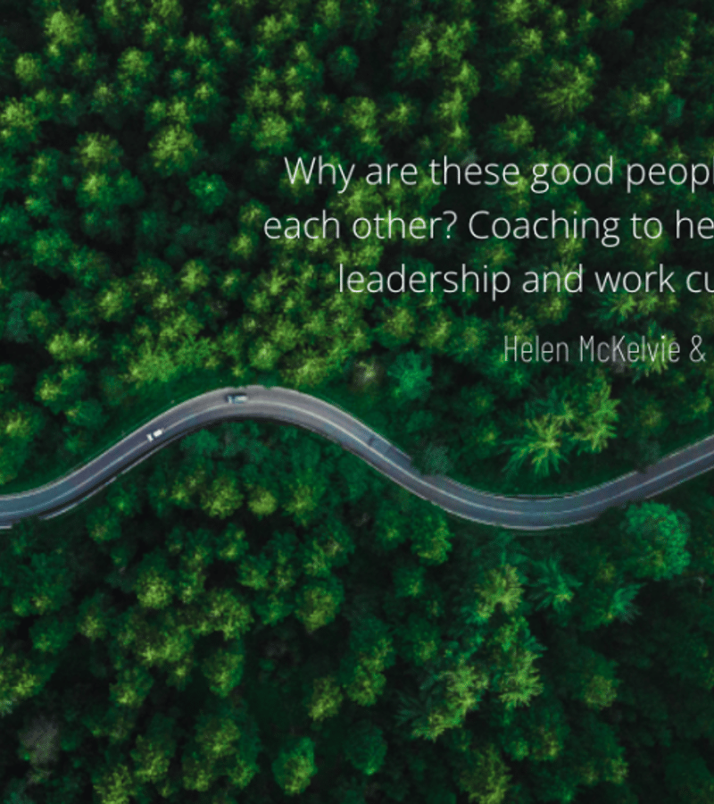 Why are these good people turning on each other? Coaching to help you tackle leadership and work culture issues.