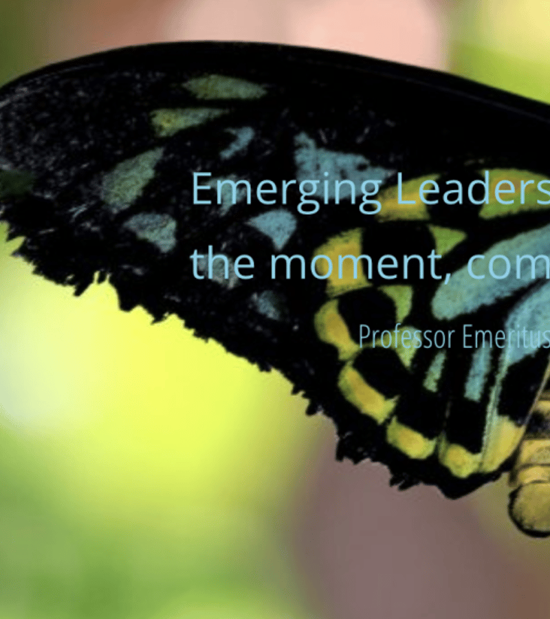 Emerging Leadership: Cometh the Moment, Cometh the Leader