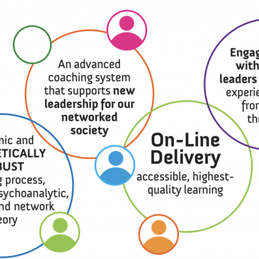 Analytic-Network Advanced Coach Training