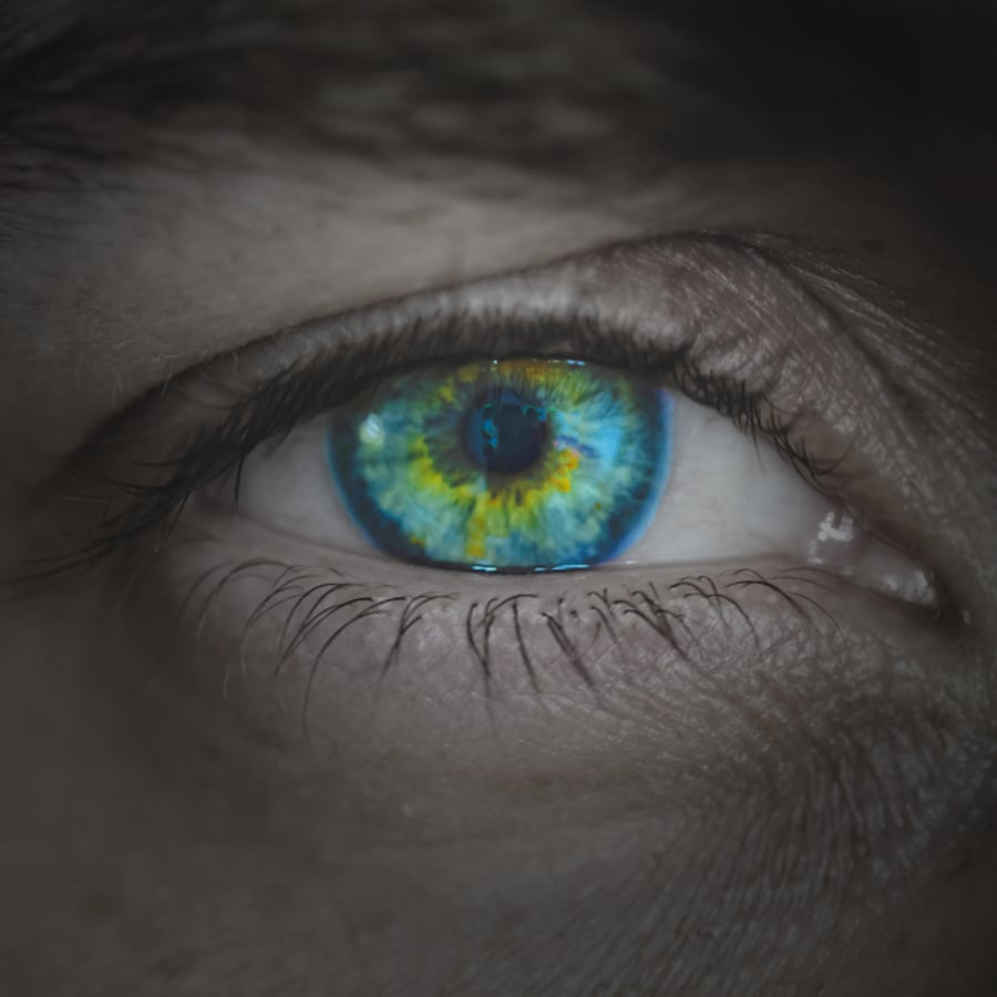 Intuitive Leadership Workshop