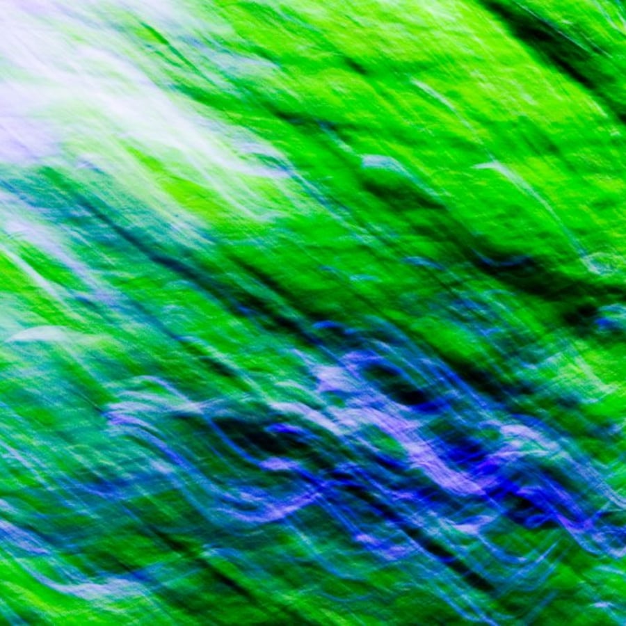 NIODA Colloquium 2020