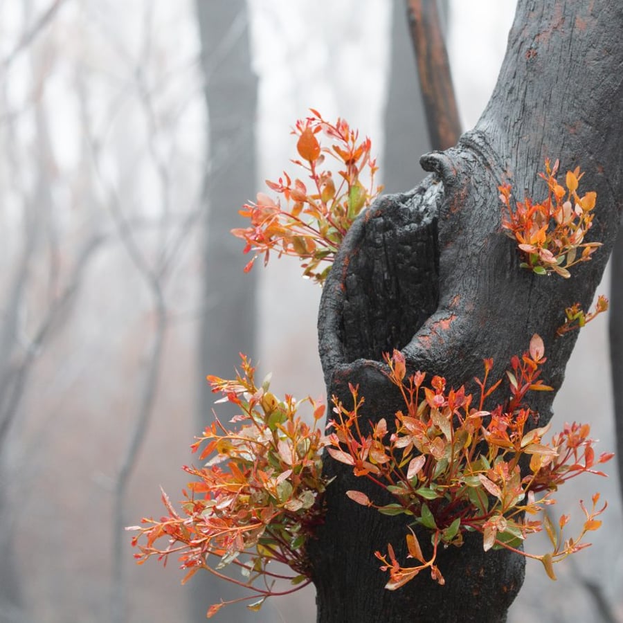 Group Relations Conference