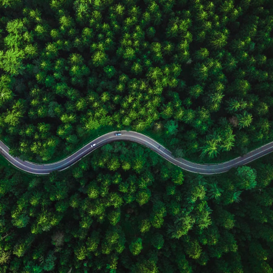 Talking about Coaching